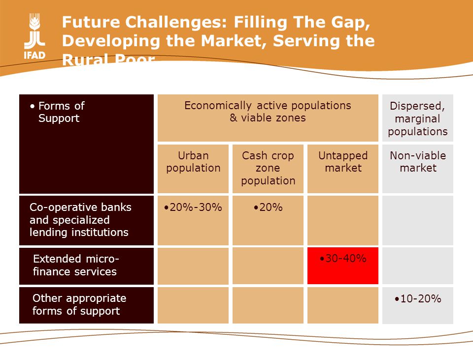 Future Challenges: Filling The Gap, Developing the Market, Serving the Rural Poor 10-20% Other appropriate forms of support 30-40% Extended micro- finance services 20%20%-30%Co-operative banks and specialized lending institutions Non-viable market Untapped market Cash crop zone population Urban population Dispersed, marginal populations Economically active populations & viable zones Forms of Support