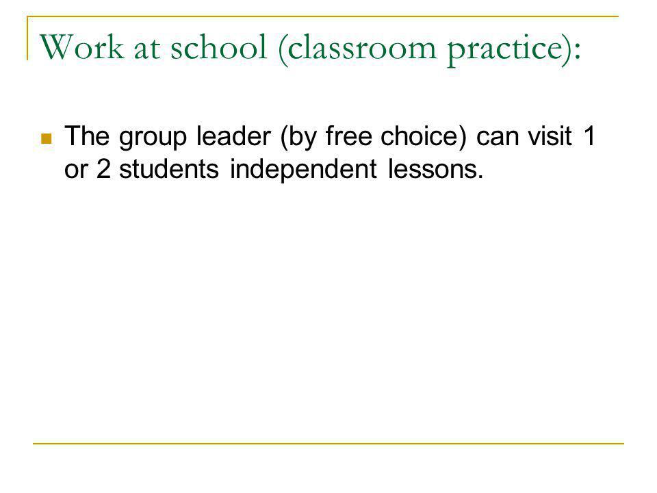 Work at school (classroom practice): The group leader (by free choice) can visit 1 or 2 students independent lessons.