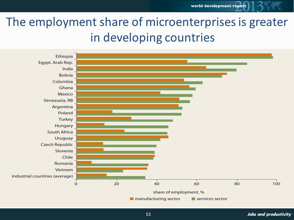 The employment share of microenterprises is greater in developing countries 13Jobs and productivity