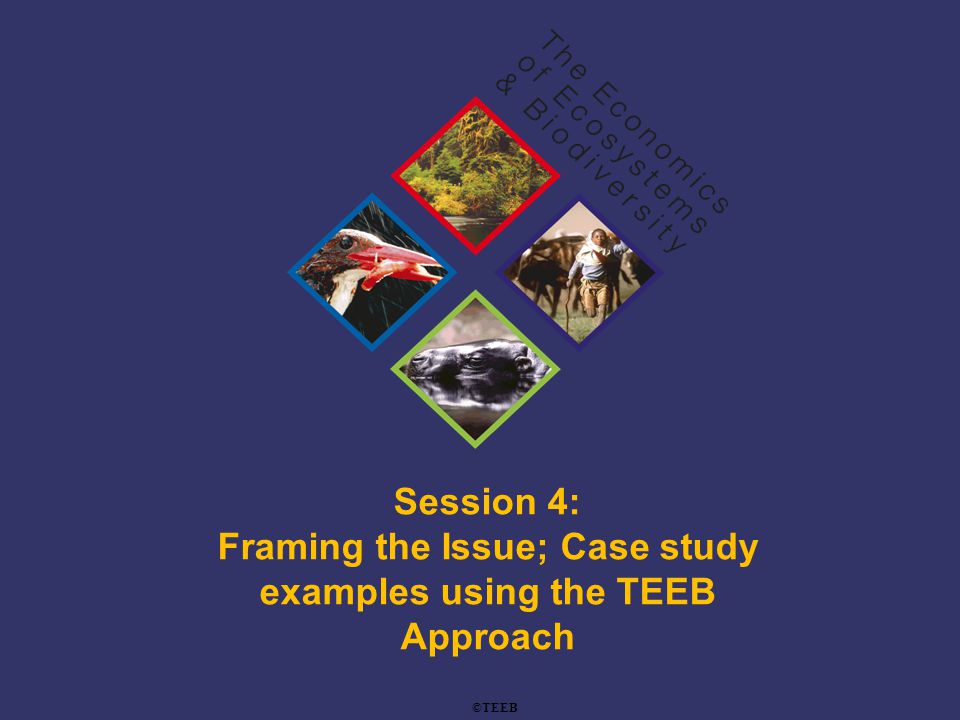 TEEB Training Session 4: Framing the Issue; Case study examples using the TEEB Approach ©TEEB
