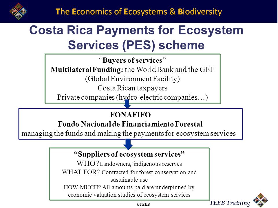 TEEB Training FONAFIFO Fondo Nacional de Financiamiento Forestal managing the funds and making the payments for ecosystem services Suppliers of ecosystem services WHO.