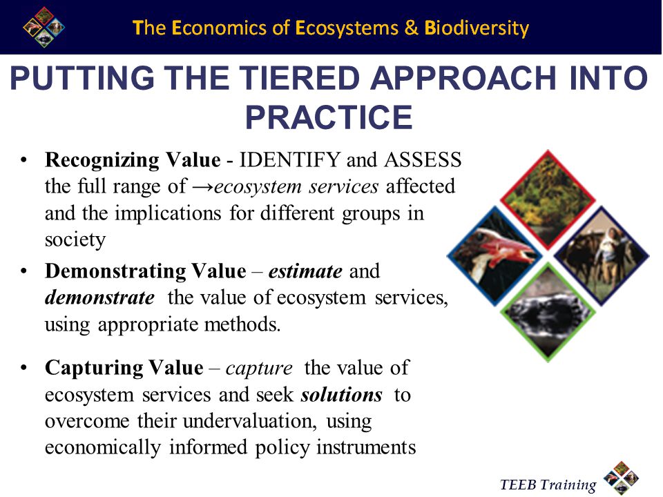 TEEB Training PUTTING THE TIERED APPROACH INTO PRACTICE Recognizing Value - IDENTIFY and ASSESS the full range of ecosystem services affected and the implications for different groups in society Demonstrating Value – estimate and demonstrate the value of ecosystem services, using appropriate methods.