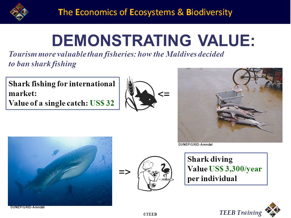 TEEB Training DEMONSTRATING VALUE: Shark fishing for international market: Value of a single catch: US$ 32 Shark diving Value US$ 3,300/year per individual Tourism more valuable than fisheries: how the Maldives decided to ban shark fishing => <= ©UNEP/GRID-Arendal ©TEEB