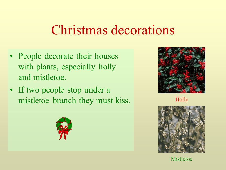 Christmas decorations People decorate their houses with plants, especially holly and mistletoe.