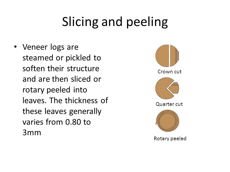 Slicing and peeling Veneer logs are steamed or pickled to soften their structure and are then sliced or rotary peeled into leaves.