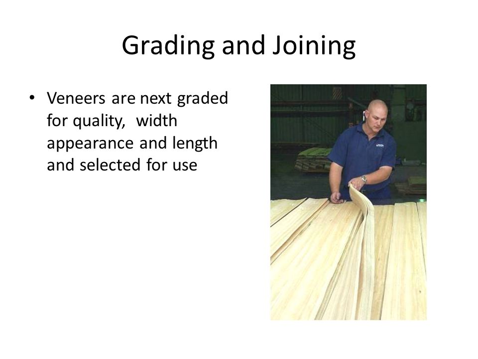 Grading and Joining Veneers are next graded for quality, width appearance and length and selected for use