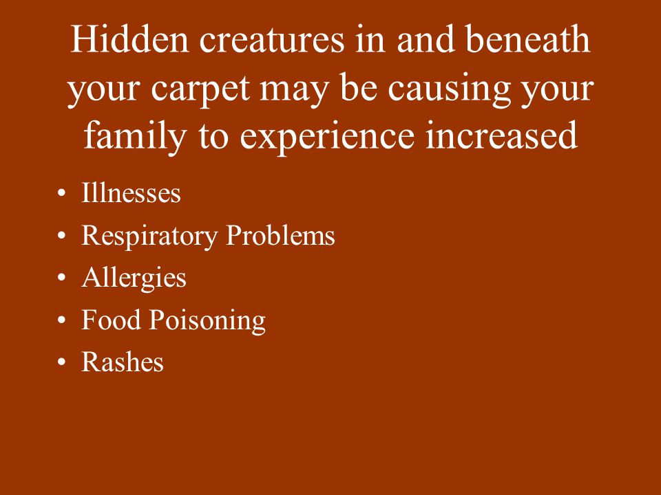 Hidden creatures in and beneath your carpet may be causing your family to experience increased Illnesses Respiratory Problems Allergies Food Poisoning Rashes