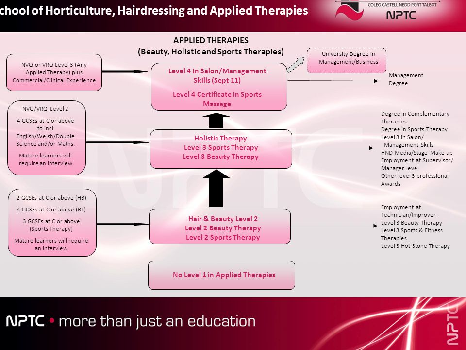 No Level 1 in Applied Therapies Hair & Beauty Level 2 Level 2 Beauty Therapy Level 2 Sports Therapy Holistic Therapy Level 3 Sports Therapy Level 3 Beauty Therapy School of Horticulture, Hairdressing and Applied Therapies 2 GCSEs at C or above (HB) 4 GCSEs at C or above (BT) 3 GCSEs at C or above (Sports Therapy) Mature learners will require an interview NVQ or VRQ Level 3 (Any Applied Therapy) plus Commercial/Clinical Experience NVQ/VRQ Level 2 4 GCSEs at C or above to incl English/Welsh/Double Science and/or Maths.