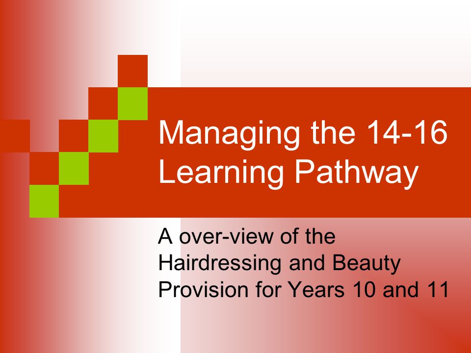 Managing the Learning Pathway A over-view of the Hairdressing and Beauty Provision for Years 10 and 11