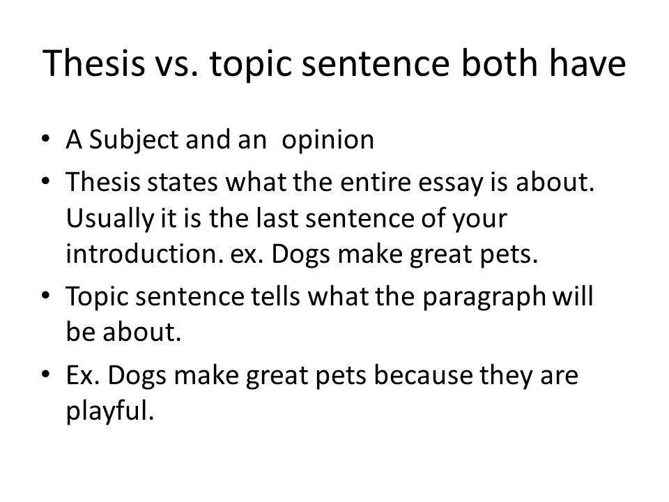 I Need An Dissertation Writier Sentence