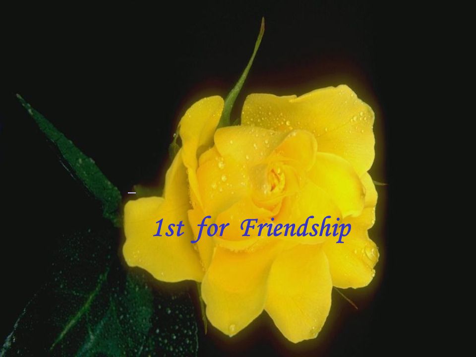 1st for Friendship