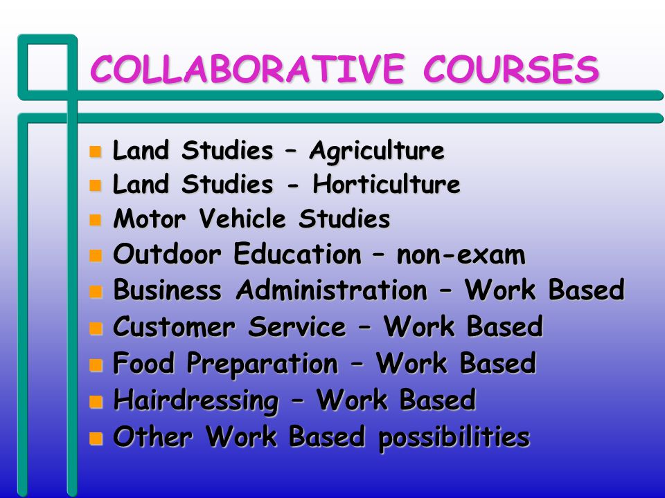COLLABORATIVE COURSES n Land Studies – Agriculture n Land Studies - Horticulture n Motor Vehicle Studies n Outdoor Education – non-exam n Business Administration – Work Based n Customer Service – Work Based n Food Preparation – Work Based n Hairdressing – Work Based n Other Work Based possibilities
