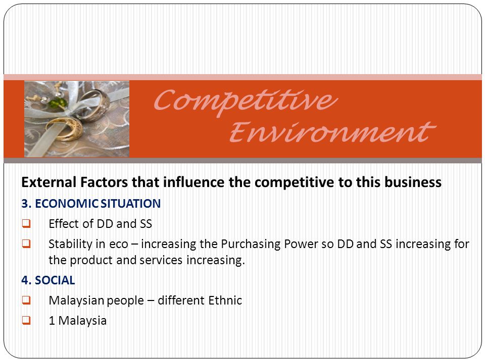 Competitive Environment External Factors that influence the competitive to this business 3.