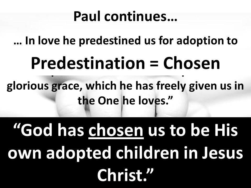 Paul continues… … In love he predestined us for adoption to sonship through Jesus Christ, in accordance with his pleasure and will--to the praise of his glorious grace, which he has freely given us in the One he loves.