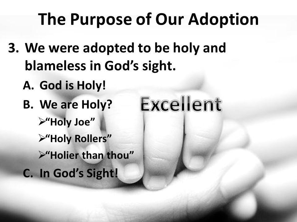 The Purpose of Our Adoption 3.We were adopted to be holy and blameless in Gods sight.