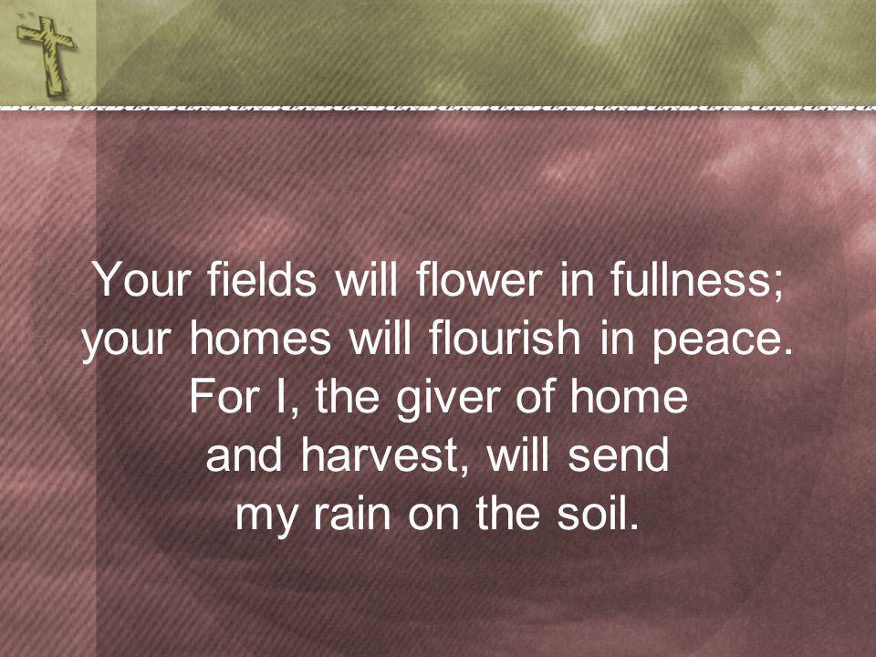 Your fields will flower in fullness; your homes will flourish in peace.
