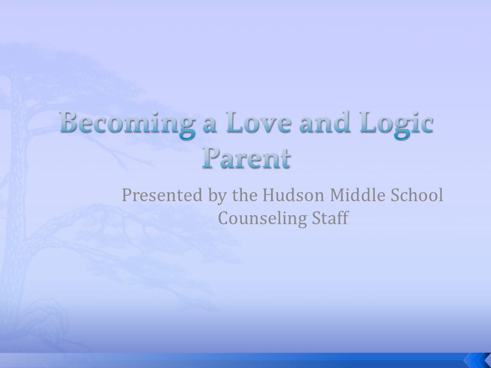 Presented by the Hudson Middle School Counseling Staff