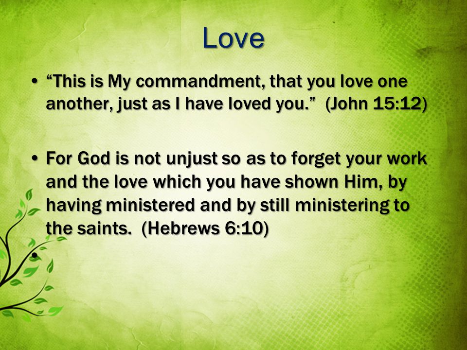 Love This is My commandment, that you love one another, just as I have loved you.