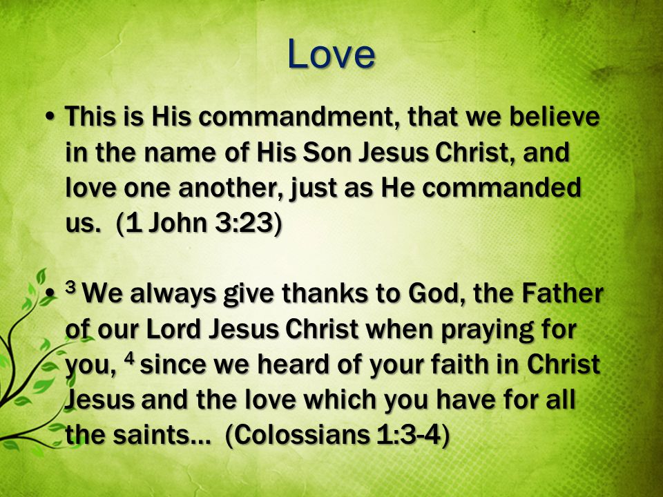 Love This is His commandment, that we believe in the name of His Son Jesus Christ, and love one another, just as He commanded us.