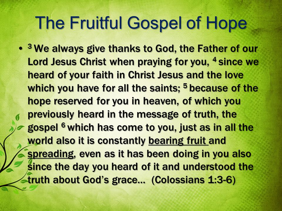 The Fruitful Gospel of Hope 3 We always give thanks to God, the Father of our Lord Jesus Christ when praying for you, 4 since we heard of your faith in Christ Jesus and the love which you have for all the saints; 5 because of the hope reserved for you in heaven, of which you previously heard in the message of truth, the gospel 6 which has come to you, just as in all the world also it is constantly bearing fruit and spreading, even as it has been doing in you also since the day you heard of it and understood the truth about Gods grace… (Colossians 1:3-6) 3 We always give thanks to God, the Father of our Lord Jesus Christ when praying for you, 4 since we heard of your faith in Christ Jesus and the love which you have for all the saints; 5 because of the hope reserved for you in heaven, of which you previously heard in the message of truth, the gospel 6 which has come to you, just as in all the world also it is constantly bearing fruit and spreading, even as it has been doing in you also since the day you heard of it and understood the truth about Gods grace… (Colossians 1:3-6)