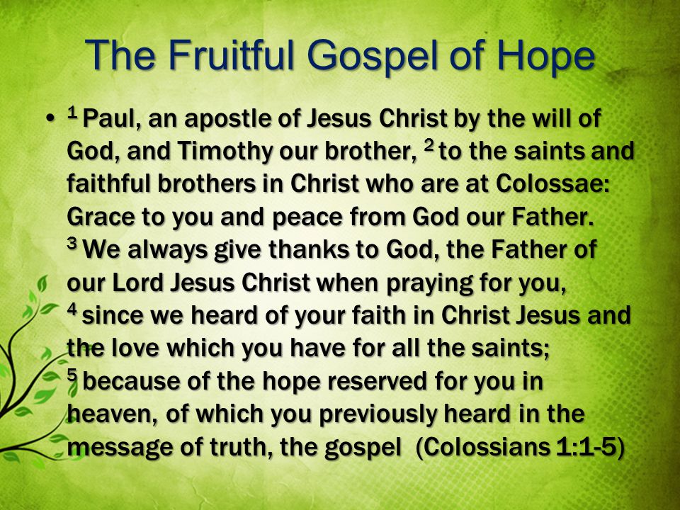 The Fruitful Gospel of Hope 1 Paul, an apostle of Jesus Christ by the will of God, and Timothy our brother, 2 to the saints and faithful brothers in Christ who are at Colossae: Grace to you and peace from God our Father.