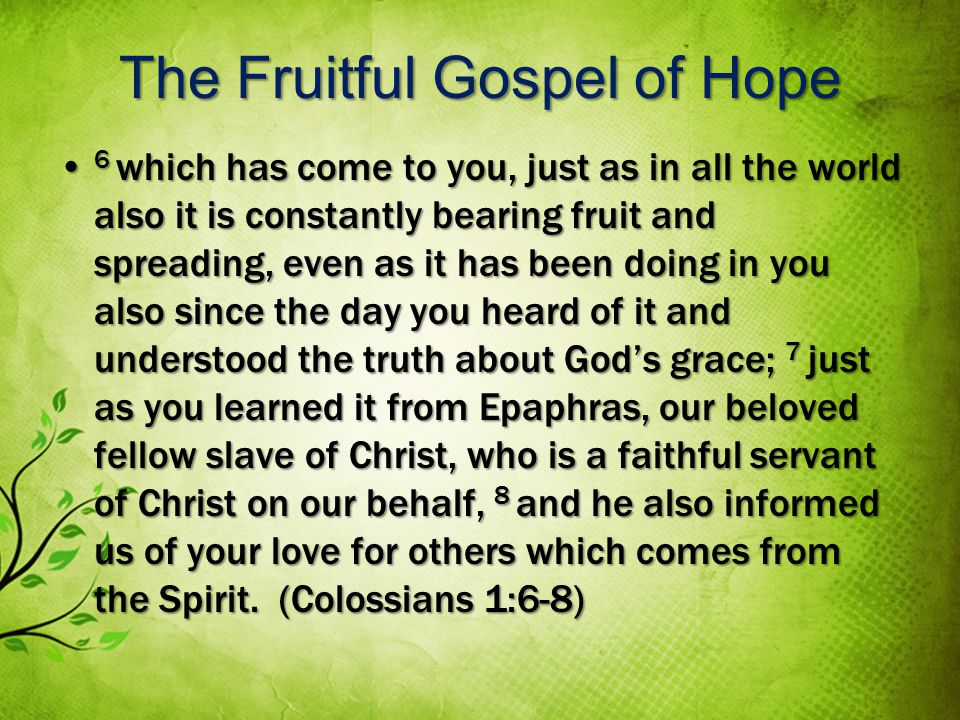 The Fruitful Gospel of Hope 6 which has come to you, just as in all the world also it is constantly bearing fruit and spreading, even as it has been doing in you also since the day you heard of it and understood the truth about Gods grace; 7 just as you learned it from Epaphras, our beloved fellow slave of Christ, who is a faithful servant of Christ on our behalf, 8 and he also informed us of your love for others which comes from the Spirit.