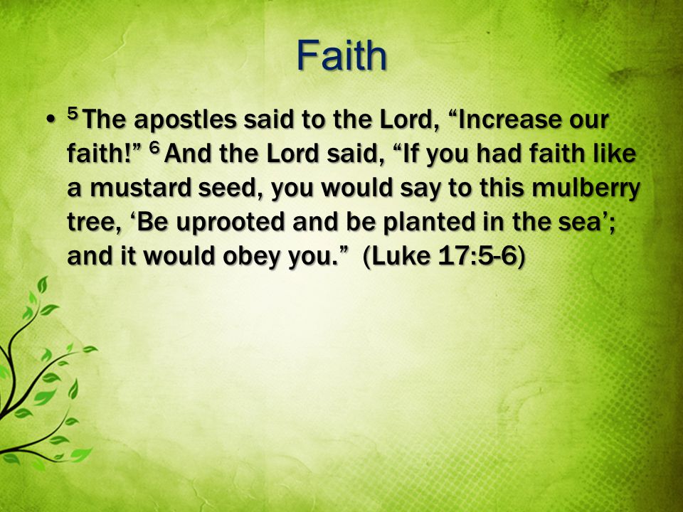 Faith 5 The apostles said to the Lord, Increase our faith.