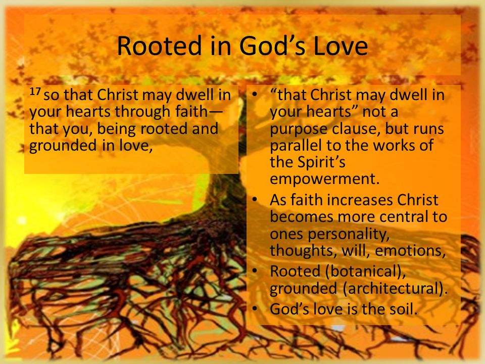 Rooted in Gods Love 17 so that Christ may dwell in your hearts through faith that you, being rooted and grounded in love, that Christ may dwell in your hearts not a purpose clause, but runs parallel to the works of the Spirits empowerment.