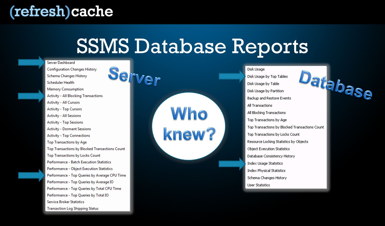 SSMS Database Reports