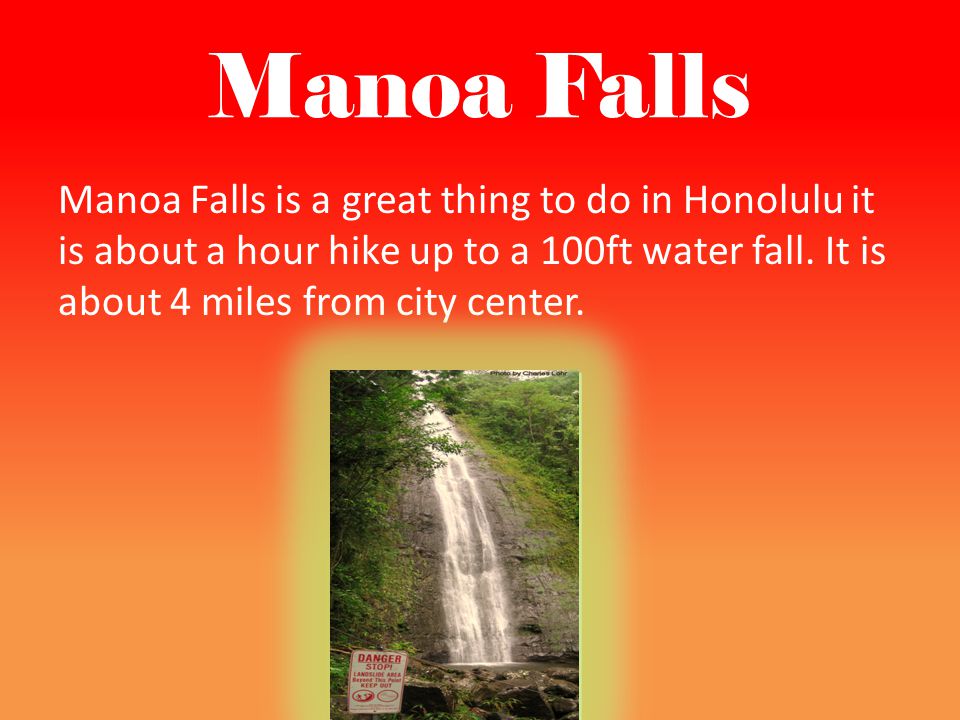 Manoa Falls Manoa Falls is a great thing to do in Honolulu it is about a hour hike up to a 100ft water fall.