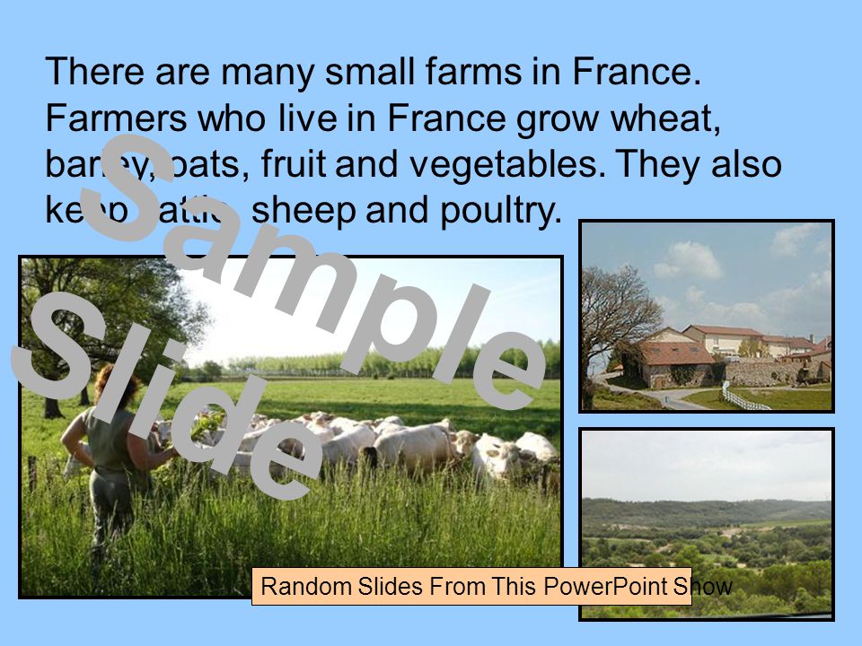 There are many small farms in France.