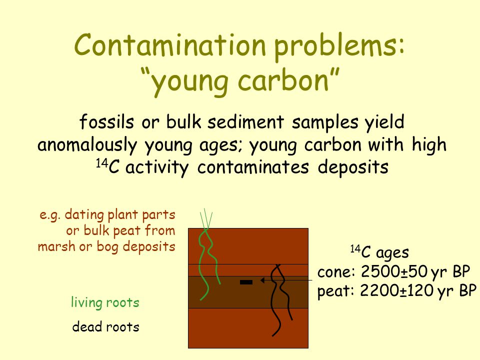 datasheet 18 student worksheet dating the fossil record