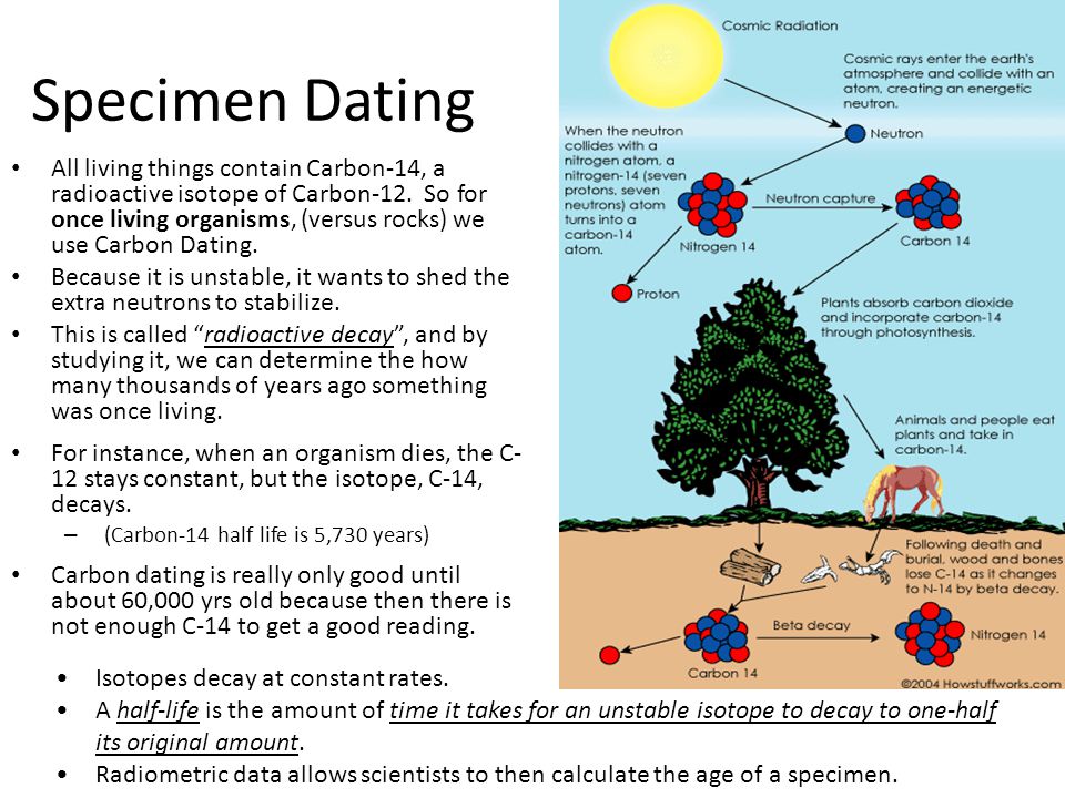 Common Radioactive Isotopes Used In Dating Substances Common Radioactive Isotopes Used In Dating Substances
