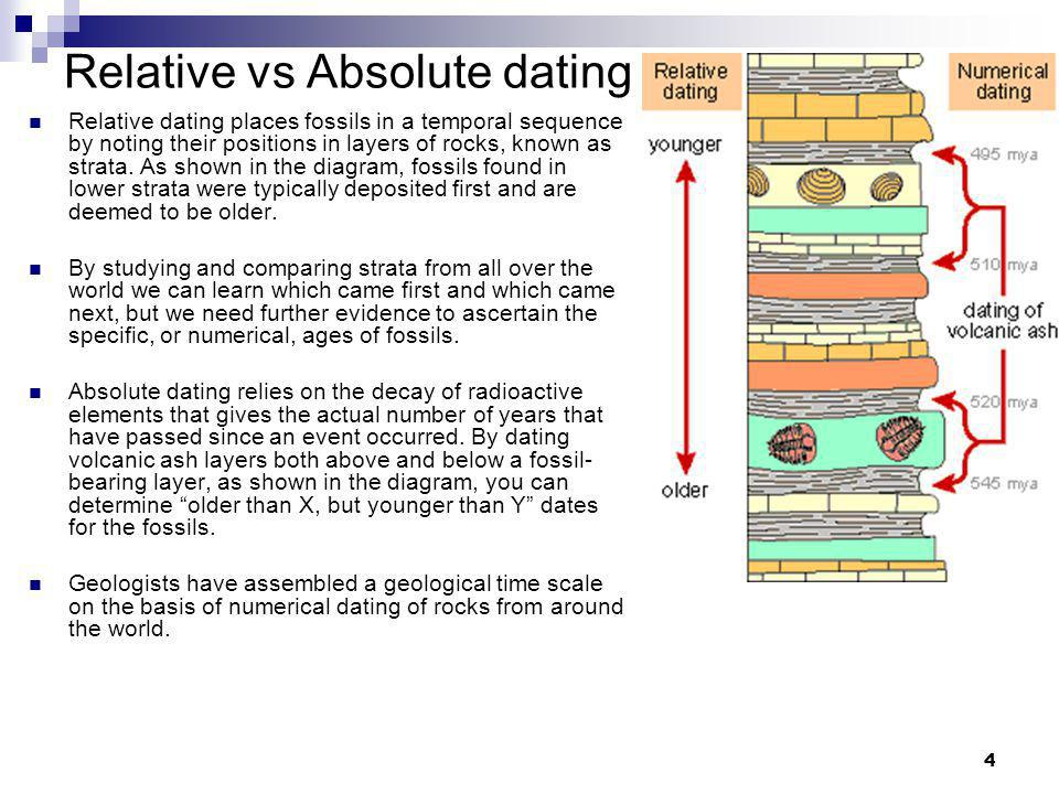 What Is A Type Of Relative Dating Of Fossils What Is A Type Of Relative Dating Of Fossils