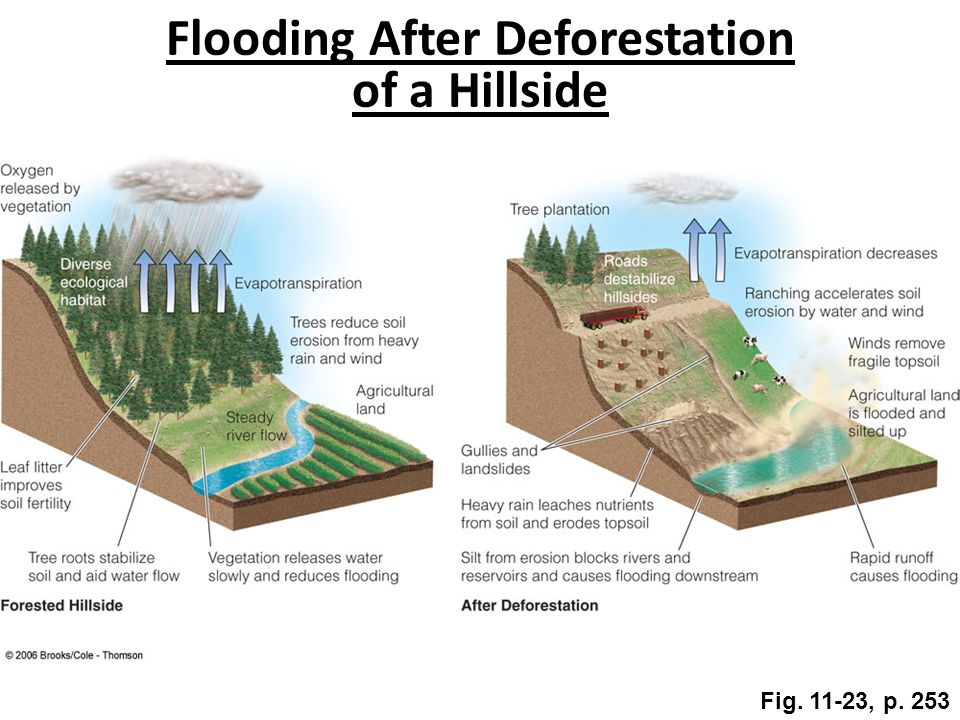 what causes flooding essay what causes flooding essay
