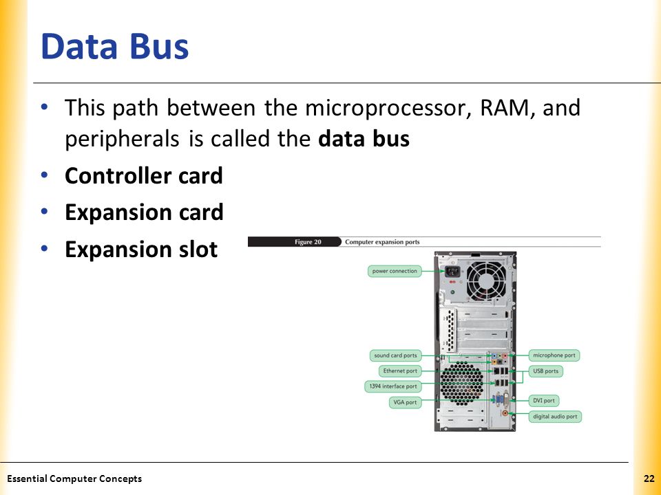 XP Data Bus This path between the microprocessor, RAM, and peripherals is called the data bus Controller card Expansion card Expansion slot 22Essential Computer Concepts