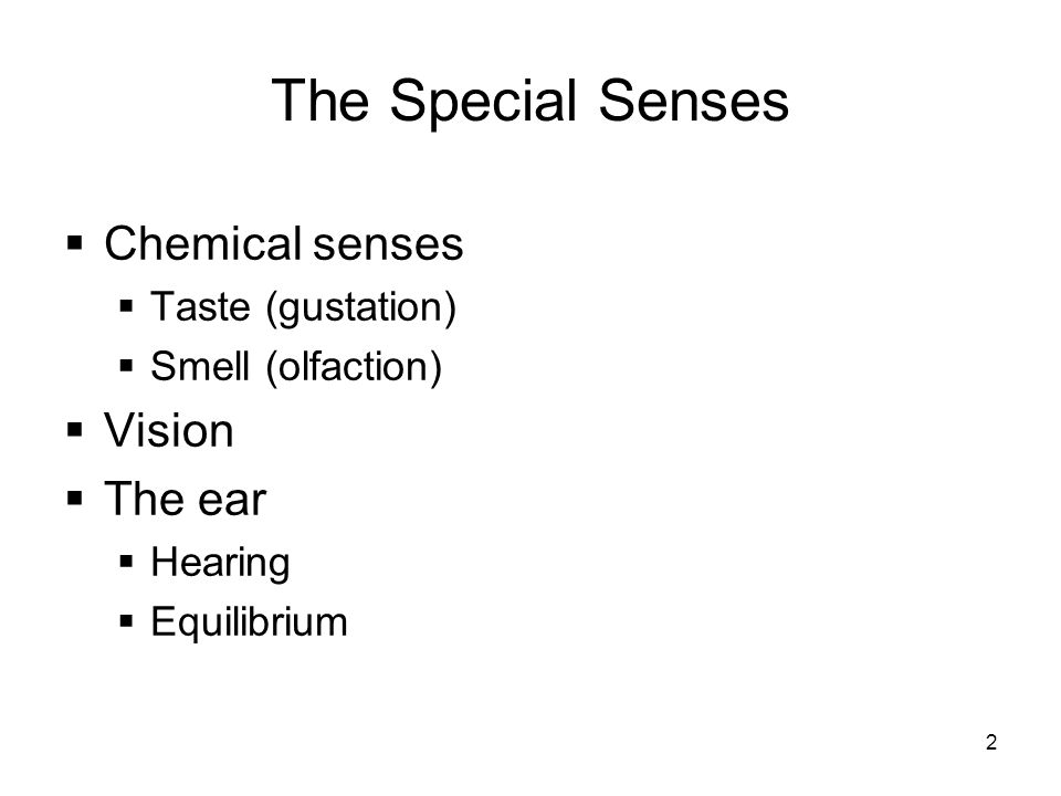 Worksheets Special Senses Worksheet special senses worksheet high school intrepidpath 1 the 2 chemical taste gustation smell