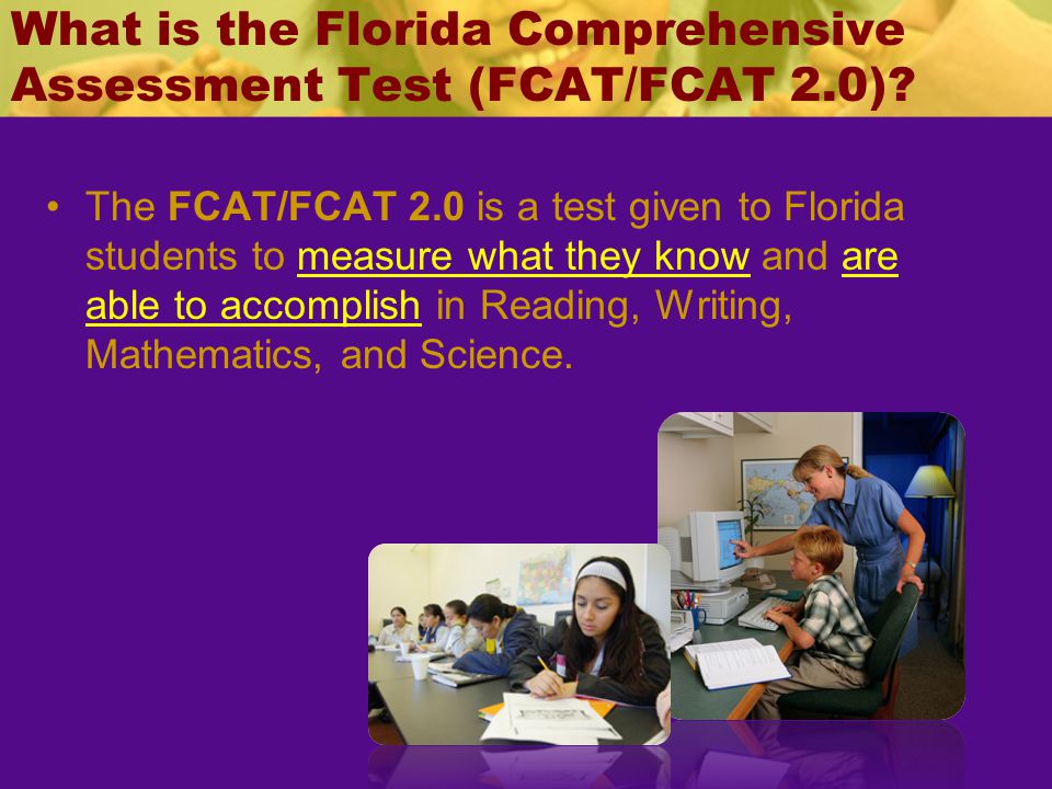 florida comprehensive assessment test thesis florida comprehensive assessment test thesis