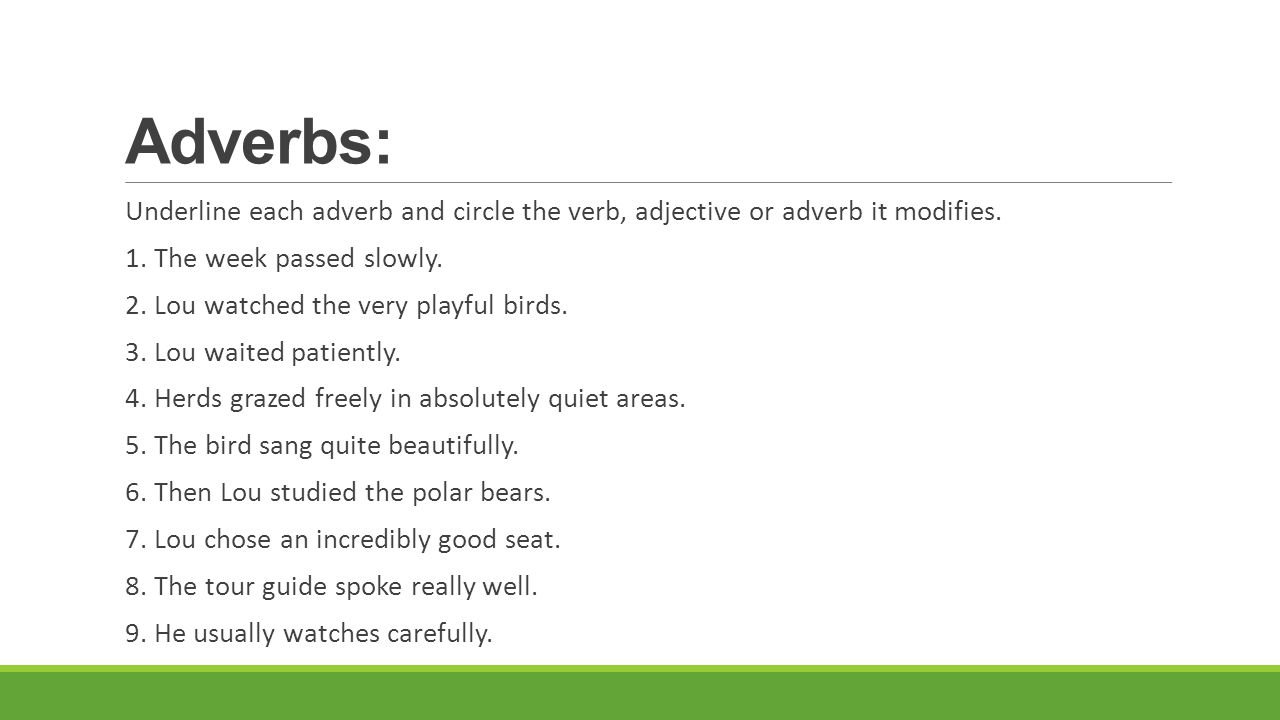 Worksheet Circle The Adjectives modifiers test review mrs s irizarry adjectives underline each adverbs adverb and circle the verb adjective or it modifies