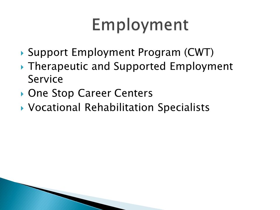 Support Employment Program (CWT) Therapeutic and Supported Employment Service One Stop Career Centers Vocational Rehabilitation Specialists