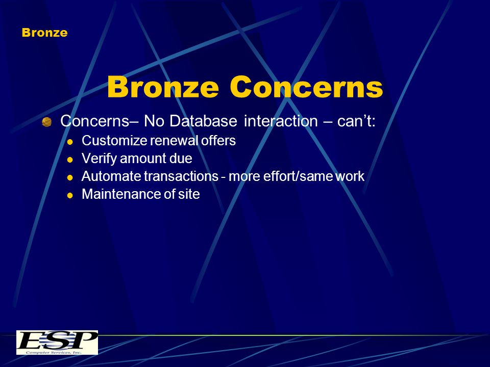 Bronze Concerns Concerns– No Database interaction – cant: Customize renewal offers Verify amount due Automate transactions - more effort/same work Maintenance of site Bronze
