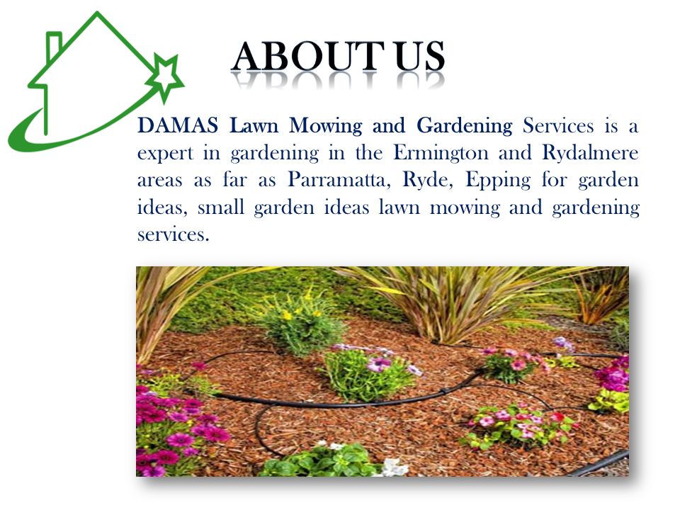 DAMAS Lawn Mowing and Gardening Services is a expert in gardening in the Ermington and Rydalmere areas as far as Parramatta, Ryde, Epping for garden ideas, small garden ideas lawn mowing and gardening services.