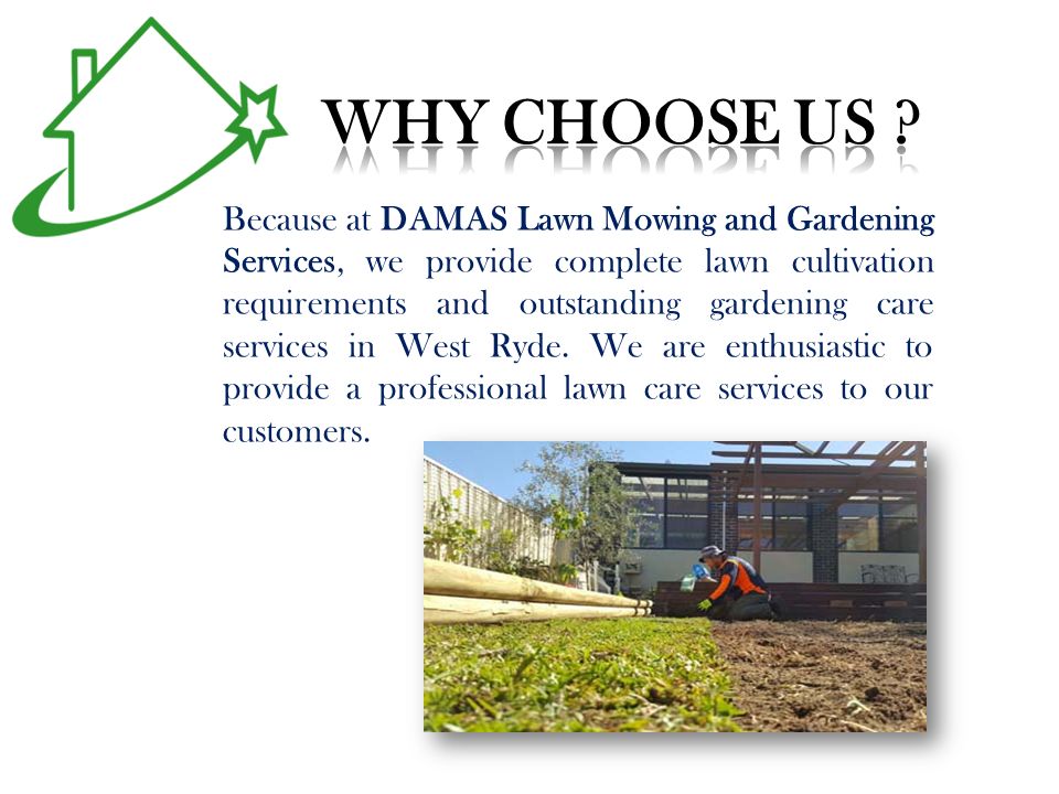 Because at DAMAS Lawn Mowing and Gardening Services, we provide complete lawn cultivation requirements and outstanding gardening care services in West Ryde.