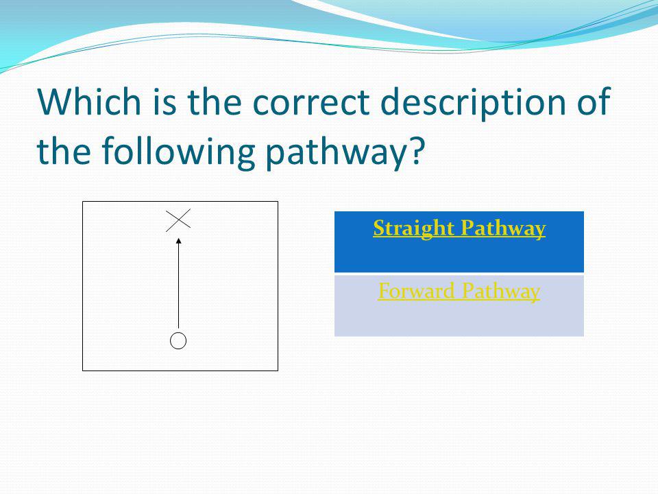Which is the correct description of the following pathway Straight Pathway Forward Pathway