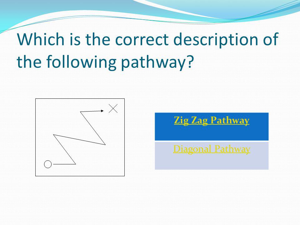 Which is the correct description of the following pathway Zig Zag Pathway Diagonal Pathway