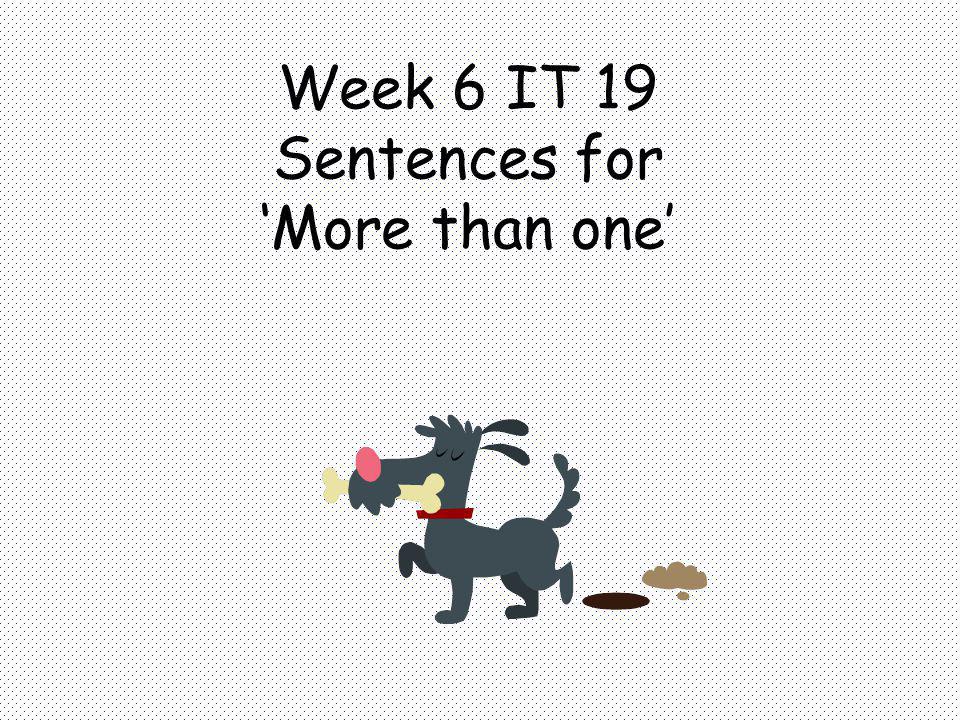 Week 6 IT 19 Sentences for More than one