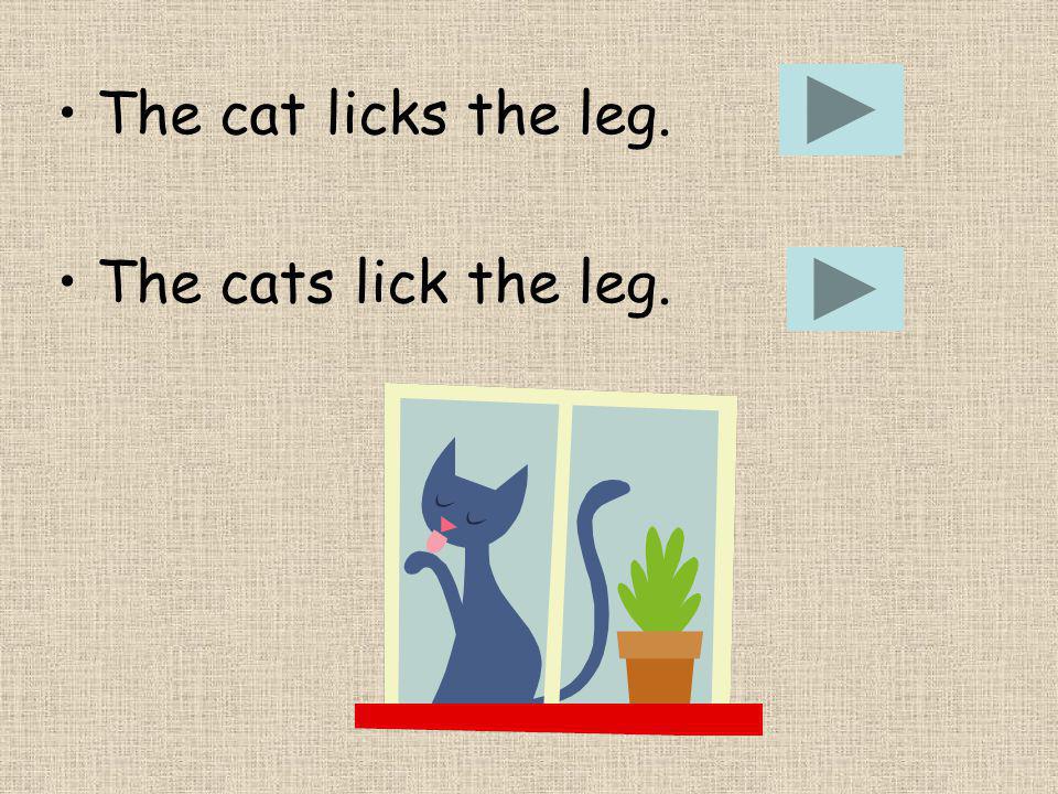 The cat licks the leg. The cats lick the leg.
