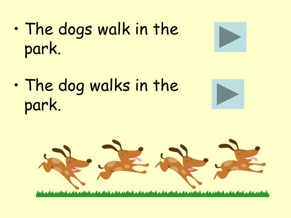 The dogs walk in the park. The dog walks in the park.
