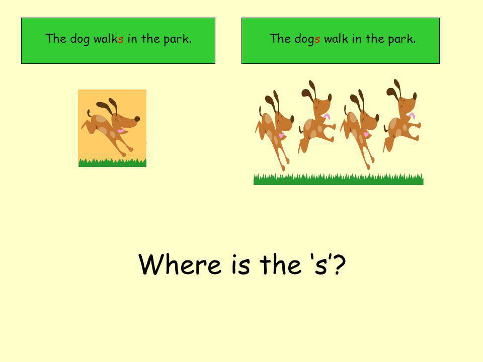 The dogs walk in the park.The dog walks in the park. Where is the s