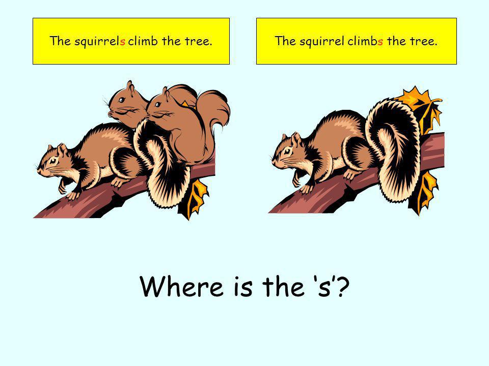 The squirrels climb the tree.The squirrel climbs the tree. Where is the s